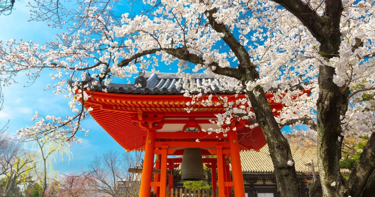 6 cool reasons why Japan should be on your bucketlist this year