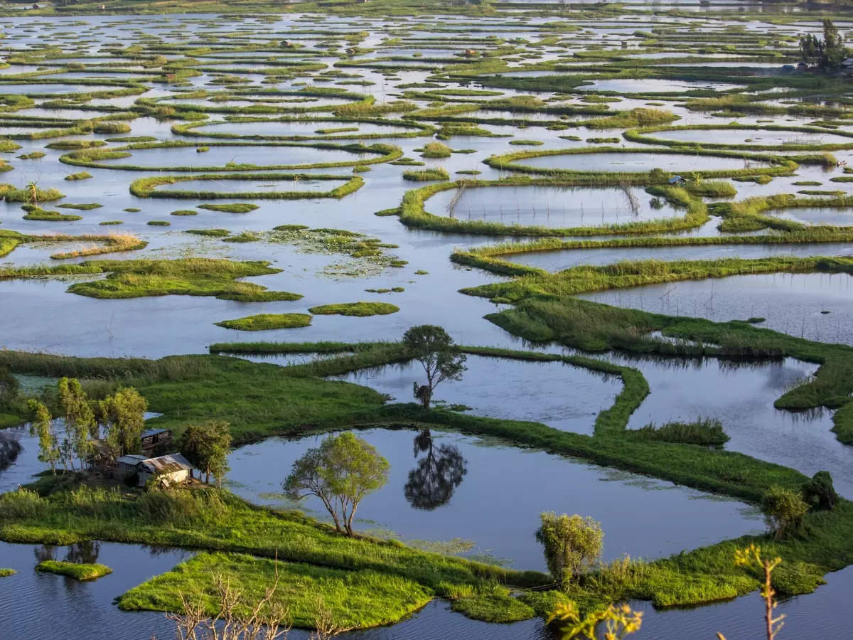 Wetlands in India and why they are important for us