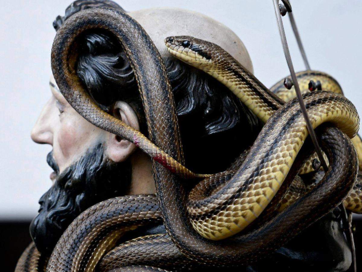 Experience Italy's iconic festival of snake catchers that happens every year