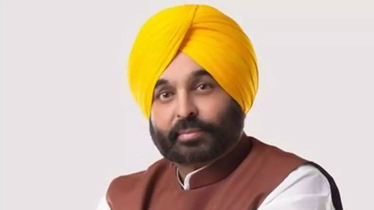 Punjab CM Bhagwant Singh Mann Honors 14 Cops with Chief Minister’s Medal | Ludhiana News – Times of India