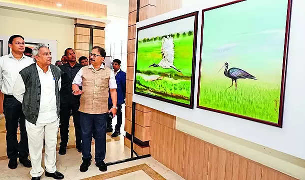 Chilika: A Pilgrimage of 1 Million Winged Guests – National Chilika Birds Festival | Bhubaneswar News – Times of India