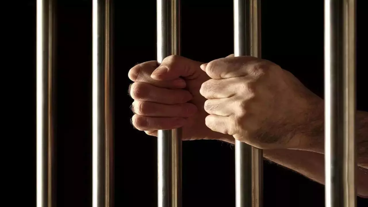 Repeat offender: Man’s smuggling spree lands him 12 more years in jail | Chennai News – Times of India