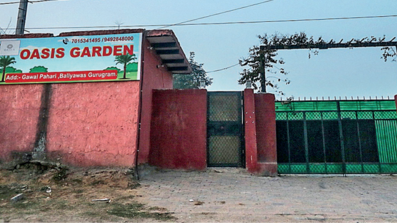 Gurgaon farmhouse gatecrashed by local men: When a party ended in tragedy | – Times of India