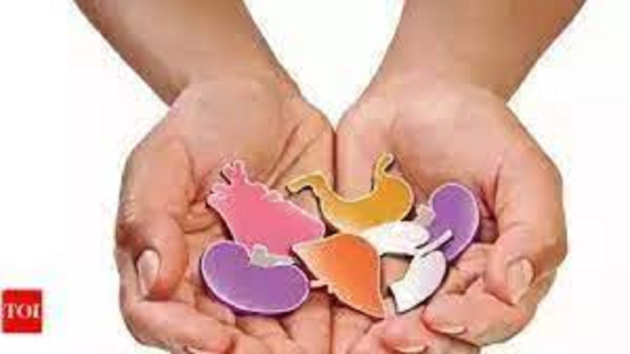 Organ Donation in Mumbai: First Paediatric Donation of the Year | – Times of India