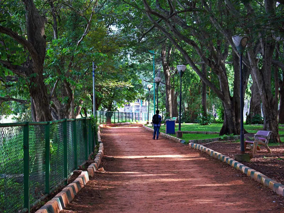 Top 10 free things to do in Bengaluru