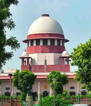 Supreme Court Orders Full-Scale Periodic Audits of 26 Green Bodies | Delhi News – Times of India