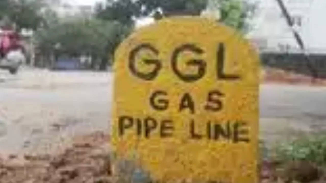 Gas leak: Coromandel International Limited fined Rs 6 crore, TNPCB to take action | Chennai News – Times of India