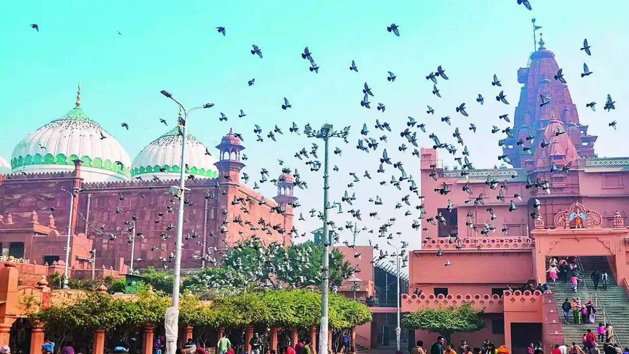 Aurangzeb demolished temple at site of Krishna Janmabhoomi complex: ASI