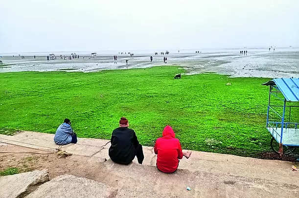 Chandipur Beach: Sandbars Impact Tourist Inflow | Bhubaneswar News – Times of India