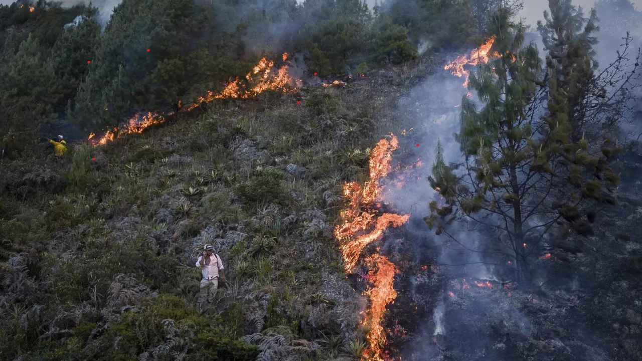 Forest fires kill 123 in Chile's worst disaster since 2010 earthquake