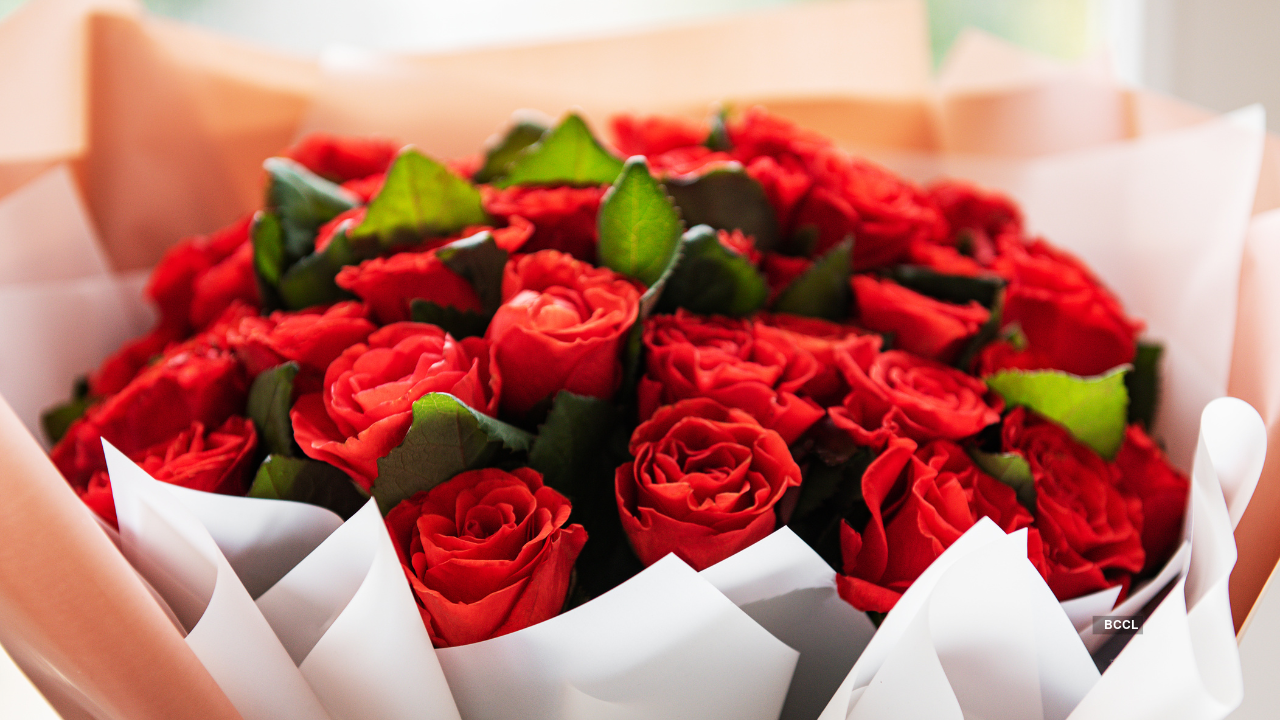 Best messages, wishes and Images to share on Rose Day