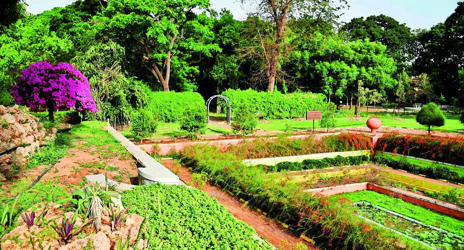 Tnau To Organize Flower Show After 11-year Gap | Coimbatore News – Times of India