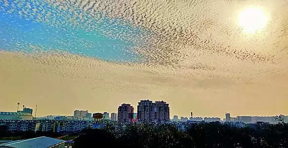 Weather Turns Pleasant With Bright Sunshine | Lucknow News – Times of India