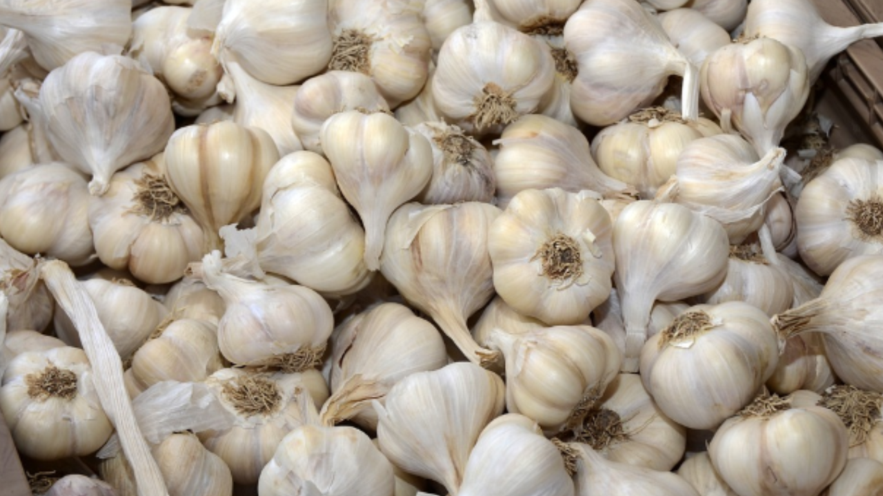 Garlic and Supari Stolen During Truck Driver’s Toilet Break in Gandhinagar | Ahmedabad News – Times of India