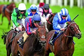 Duke Of Tuscany best bet