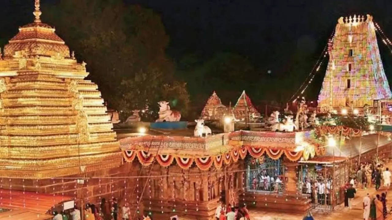 Srisailam temple orders probe after Hyderabad devotee finds bones in prasadam | Hyderabad News – Times of India