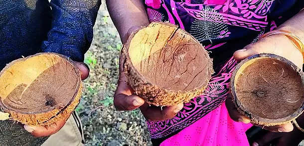 Arrests Made for Serving Tea to Dalits in Coconut Shells: Double Tumbler System | Chennai News – Times of India