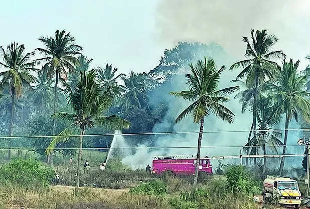 Trial by waste fires leaves residents of Whitefield gasping for clean air | Bengaluru News – Times of India