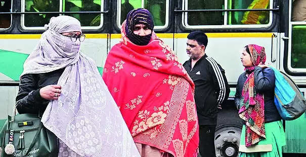 Cold Wave Revives Across Rajasthan, Sikar Shivers at 1.4°C | Jaipur News – Times of India