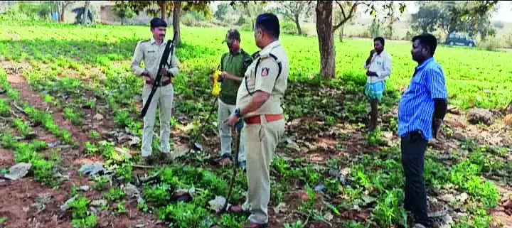 Leopard Attacks Trigger Panic in 15 Villages in Gadag – Latest News | Hubballi News – Times of India