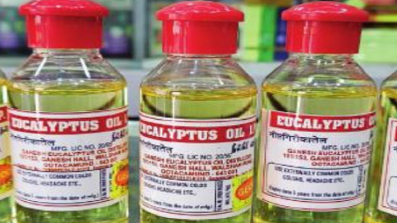 Eucalyptus oil catches a terminal cold in the Nilgiris