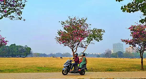 Midweek rain may pull temp down again: Met | Kolkata News – Times of India