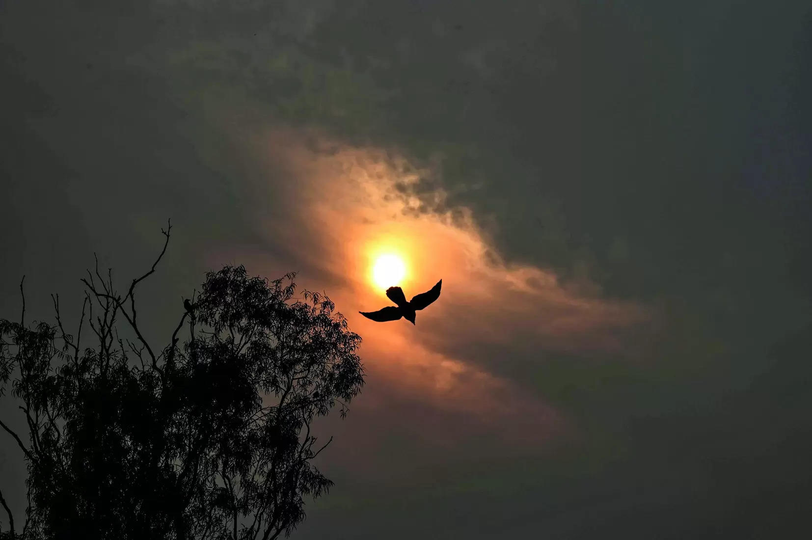 Winter in last leg as mercury set to rise; showers expected today | Gurgaon News – Times of India