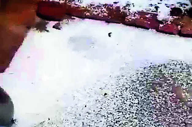 Temp drops as rain, hailstorm lash city | Allahabad News – Times of India