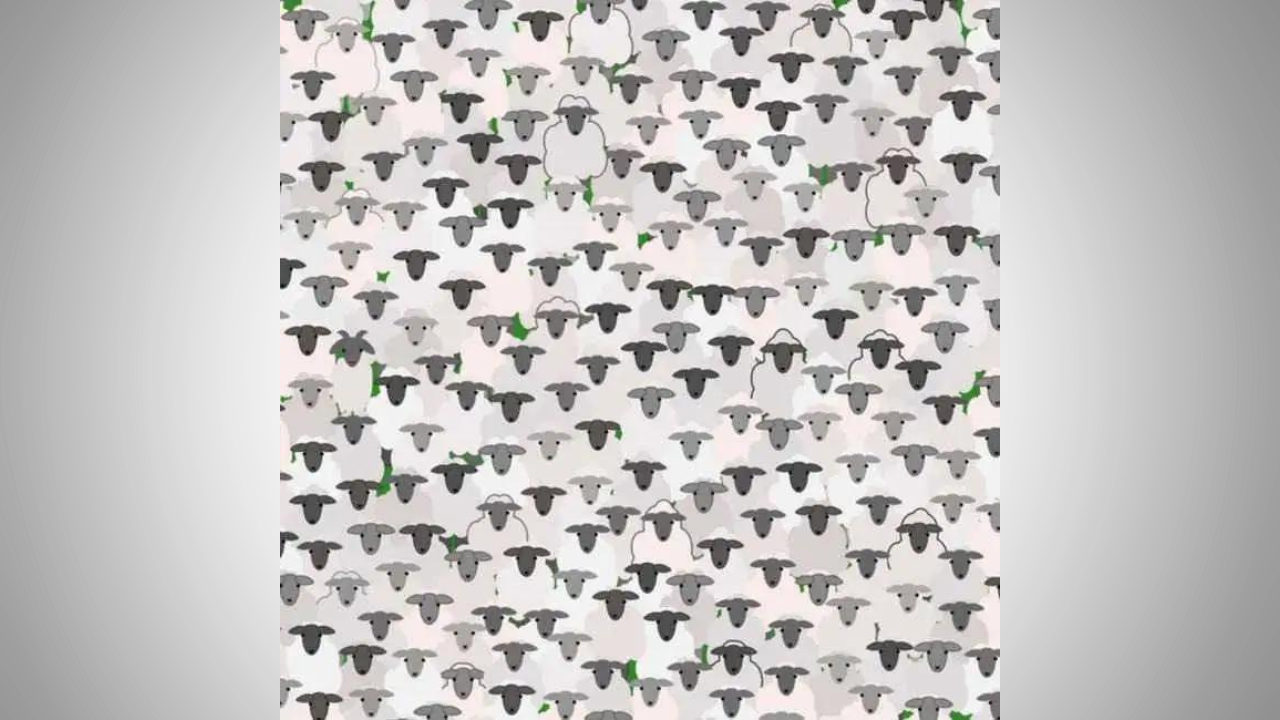 optical il (2)
