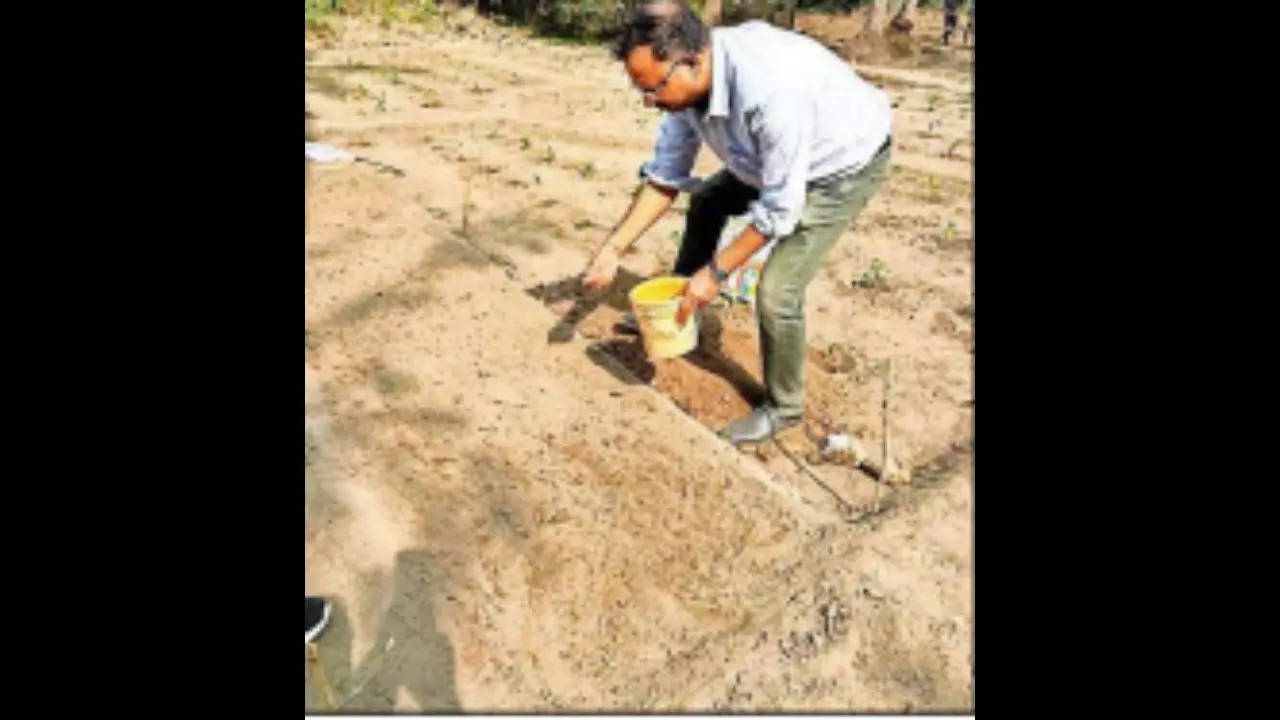 Special Flowers to Bloom at Puri Temple for Rituals | Lucknow News – Times of India