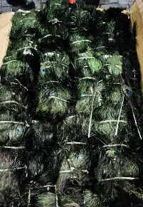 Peacock Feather Smuggling Racket Busted: Tails Worth 2 Crore Seized | Mumbai News – Times of India