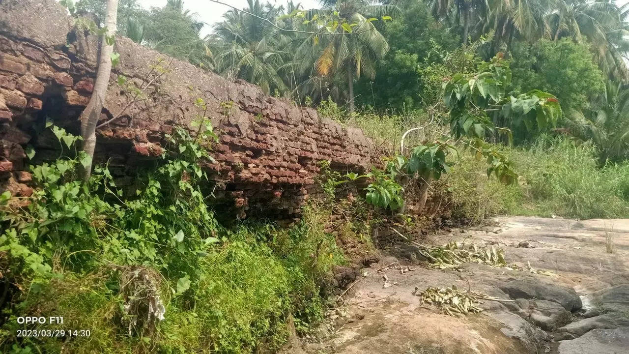 Remains of 1,000-year-old check dam found in Tamil Nadu | Chennai News – Times of India