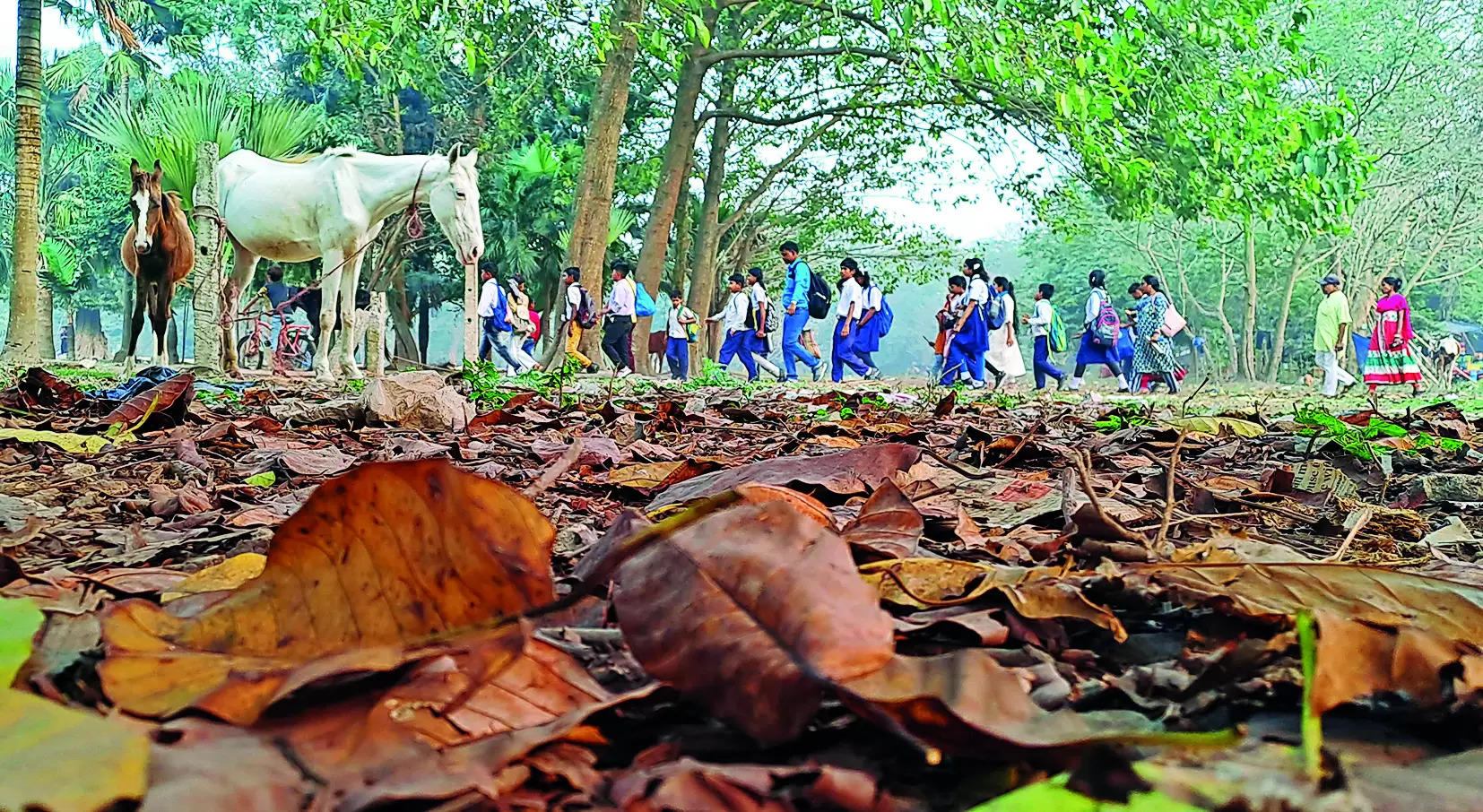 Kolkata gets 70% more than normal winter rain by mid-Feb this year – Times of India