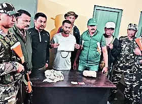 Poacher held with 3.7kg elephant tusk – Latest News | – Times of India