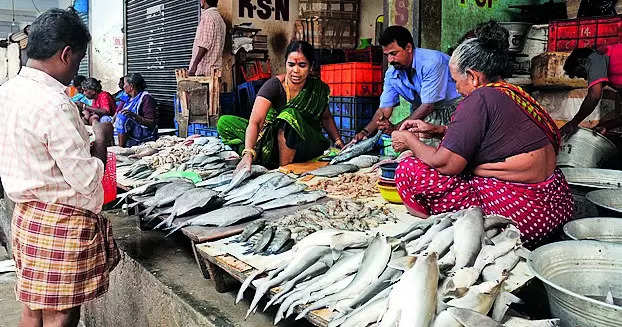 Modern fish market in Chintadripet likely to be completed by March | Chennai News – Times of India