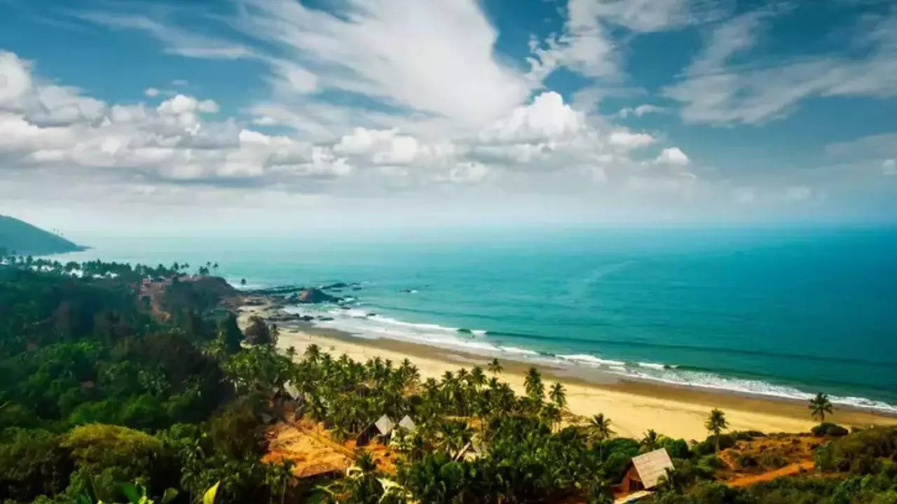 Design Policy to Make Goa a Magnet for Creative Minds | – Times of India