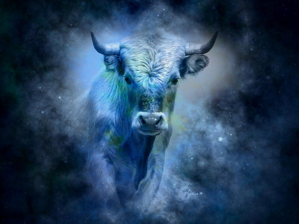 Taurus, Horoscope Today, February 20, 2024: Time to recharge and reconnect with your core values | – Times of India