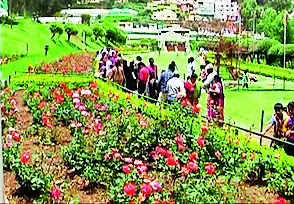 TN govt proposes to enhance collection of roses in GRG, Ooty