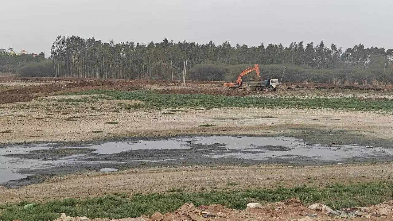 Minister Urges BDA to Fast-track STP Work at Chandapura Lake | Bengaluru News – Times of India