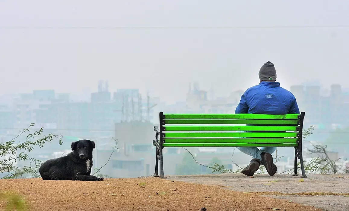 Min temp dips, rain here to stay for now | Gurgaon News – Times of India