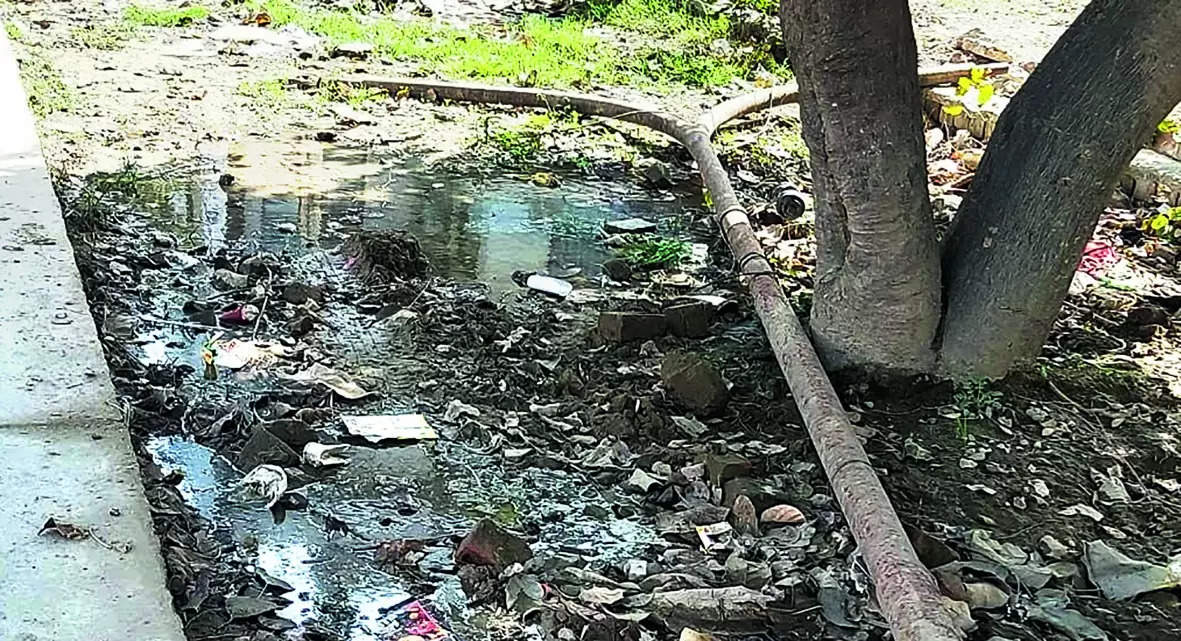 MCG Orders Probe into Delayed Replacement of Old Pipes in Sector 9A | Gurgaon News – Times of India