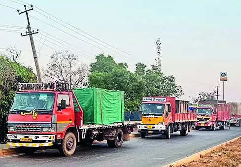 40 deer from Mysuru zoo get a home at Kali Tiger Reserve