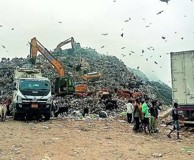 Smoke and Pollutants from Dumping Ground Pose Threat to Deepor Beel | Guwahati News – Times of India