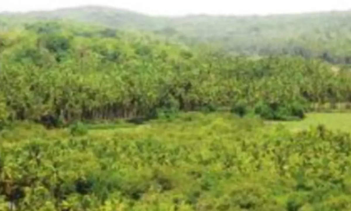 TCP Act’s Sec 39A backdoor entry to convert eco-zones | Goa News – Times of India