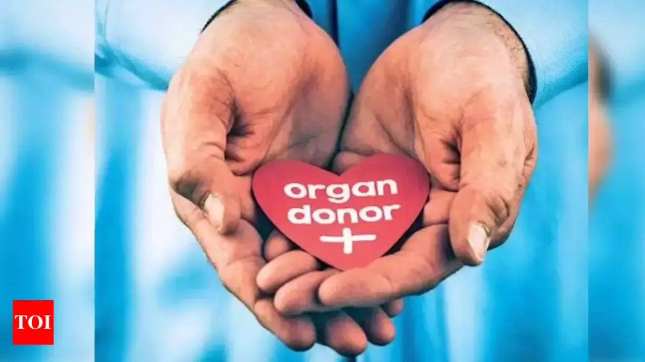 Organ Donation: 60-year-old brain-dead woman gives life to 2 people in Delhi | Delhi News – Times of India