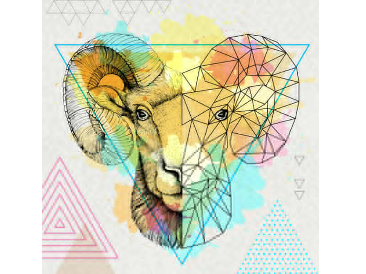 Aries Horoscope Today, February 23, 2024: Focus on your well-being | – Times of India