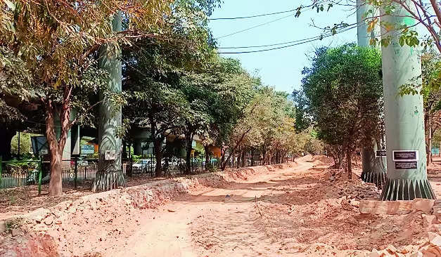 New Road in Hebbal Tree Park to Facilitate Additional Ramp Work | Bengaluru News – Times of India