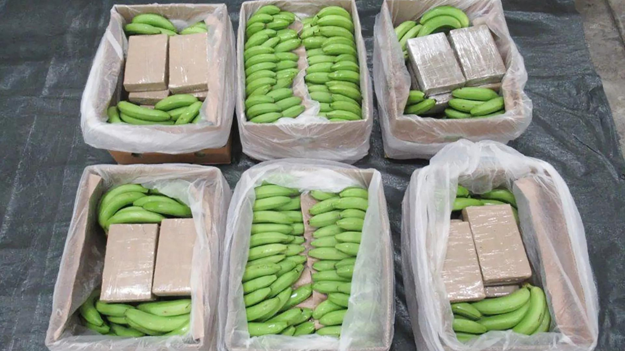 Picture released by NCA shows packages of cocaine hidden between bananas (AFP photo)