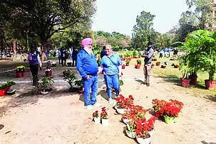 Flower Show Returns to Ludhiana After 7 Years, but with a Tepid Response | Ludhiana News – Times of India