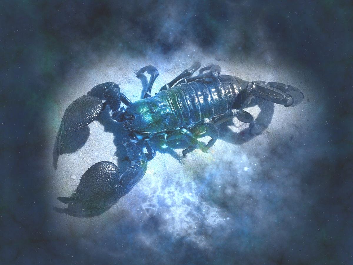 Scorpio Horoscope Today, February 26, 2024: Trust Your Intuitions Today | – Times of India